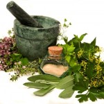Ministry of Health announces AYUSH Open-Access Research Portal for Medicinal Herbs and Plants