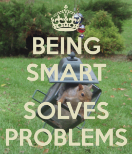 being-smart-solves-problems