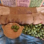 The Sustainable Seed Innovations Project: Supporting a Smooth Implementation of the Three-Pronged Approach to Sustainable Seed Innovation – Legal & Ethical Issues (Part I)