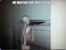 pic of skeleton looking out the window saying 'me waiting for this list to end'