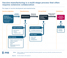 A flowchart which displays vaccine production process