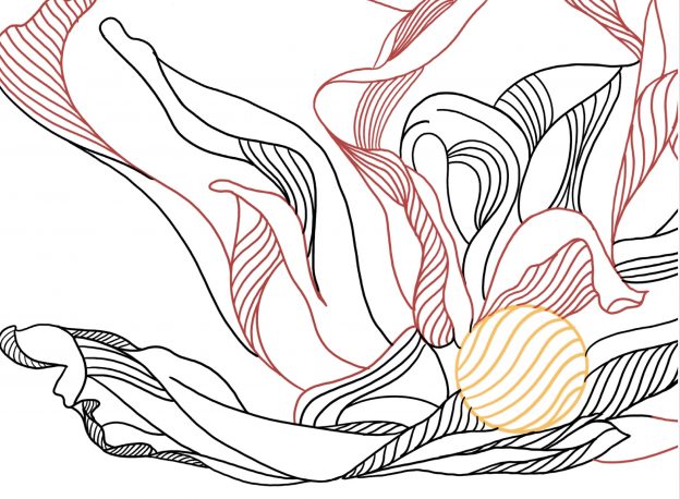 SpicyIP | De-Coding Indian Intellectual Property Law