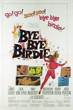 An image of the poster of the film "Bye Bye Birdie"